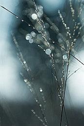 《尼尔：机械纪元》全球销量突破900万 官方发文庆祝